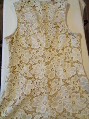 Sleeveless V Neck Top